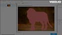 do image annotation, bounding boxes, key points, polygons within 24hrs
