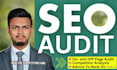 do professional SEO audit, competitor analysis, and website optimization