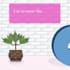 design 2d graphics and animation