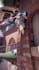 create ai video with stable diffusion using deforum