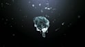 water splash logo reveal