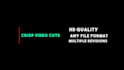 do professional video editing