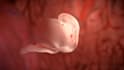 do 3d medical animation video super fast