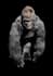 3d animal model realistic fur 3d xgen zbrush model, maya blender model, 3d print