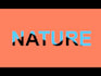 make all type logo