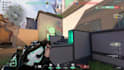 be your valorant buddy sg and hk server only