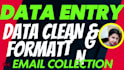 do data entry, PDF conversion, retyping and copy paste tasks
