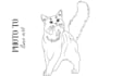 draw line art, line art portrait, line art illustration in 24 hours