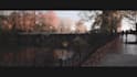 do professional video editing and creation