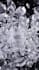 create dynamic fluid simulation vfx animation 3d water simulation 3d simulation