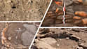 professionally edit documentary and historical videos