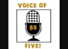 provide a professional voice over