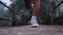 professionally blur faces, objects, or logo in your video to protect privacy