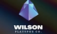 design a professional minimalist logo for your business