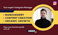 be your instagram manager for organic growth