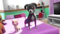create a 2d cartoon animation or 3d cartoon animation video