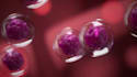do a well crafted 3d animated rendition of your scientific or medical concept