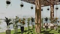 create terrace garden design