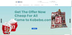 build and optimize ecommerce store wordpress website