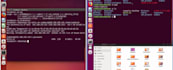 do c language,operating system tasks and projects