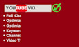 provide youtube SEO services for video optimization and  channel optimization