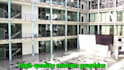 do professional video editing and motion graphics