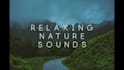 send relaxing nature sounds