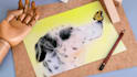 draw realistic animal portrait, dog portrait