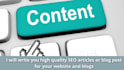 write SEO blog posts, articles, or website content