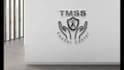 do professional and simple logo designs for your brand