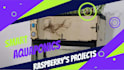 do electronic circuits basic and advanced projects in arduino, raspberry, iot