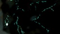 create an experimental animation for music videos, intros or live visuals