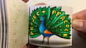 do a flipbook animation, drawn by hand