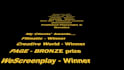 provide detailed notes on your screenplay