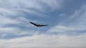 provide pixhawk drone consulting for quadcopter, vtol