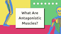 create engaging teaching materials and slides for educators