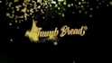 do all type 3d animation sparking diamond glitter logo