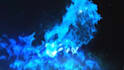 create lion spirit logo animation