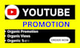 do super fast organic youtube promotion