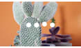 design and develop custom bigcommerce store