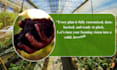 create agribusiness plans and feasibility studies