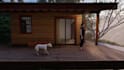 do cabin and tiny house 3d visualizations and designs