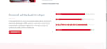 create professional portfolio website and wordpress portfolio website