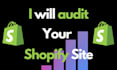 audit your shopify site