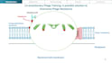 design professional scientific presentations in powerpoint