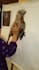 make a real hand made oil painting on canvas