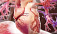 create stunning 3d animations for youtube, medical, game or promo