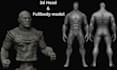 sculpt 3d head, face, portrait, bust up model,3d coin, full body for 3d printing