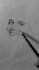 draw stylized hand drawn sketches
