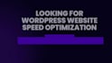 do wordpress and shopify website speed optimization